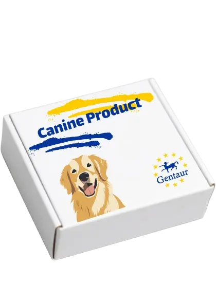 Canine IL-8/CXCL8 Fast ELISA